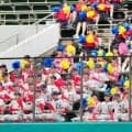 W杯ノルウェー代表のバイキング・ロー　高校野球のスタンドにも出現