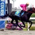 【浦和競馬】西啓太騎手が新馬戦連勝「能力試験から能力の高さを感じていた」ヤングウォーリアと「スピードがある」セブンソード