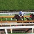 仏オークス2着馬の娘ユーダブルワン 小倉芝1800mで初陣/関西馬メイクデビュー情報