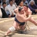 若元春が新日本プロレスを熱弁「でかくて強い選手は華がある」