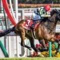【AI予想・小倉記念】ハンデ戦で波乱傾向の強い一戦！ 大穴の一発にも警戒を強める人工知能の本命候補