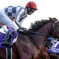 注目のドウデュース産駒 今年のセレクトセール上場馬は