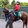 【函館２歳Ｓ】ノリヤンモーニンの浜中俊騎手が３年ぶりＶ狙う　２３年は同じダート新馬勝利からゼルトザームで制覇