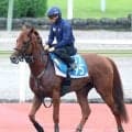 【小倉記念】ガイアメンテが初タイトルへ　１週前ラスト２ハロン１１秒１-１０秒９と抜群の伸びに陣営「ようやく」