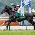アスクナイスショーから紐解く シルバーステート産駒の優れた小回り適性
