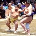 【大相撲】十両・嘉陽が連勝発進　新しい部屋宿舎は全力士が大部屋で生活　場所入り前は「みんなとしゃべって昼寝をしなかった」