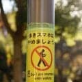 まだあった！ 勝手気ままな運動量の増やし方