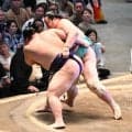 ２度目カド番の琴桜が２連勝「１番１番集中しているだけ」大の里破った義ノ富士を寄せ付けず
