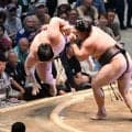 霧島「しっかり焦らずできたかな」綱とりの場所で順調に２連勝