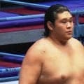 「何頭身だよ」身長197センチの“小顔”若手力士に熱視線「めっちゃ脚長い…」