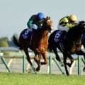カランダガンvsマスカレードボール、JC以来の再戦…キングジョージの馬券発売