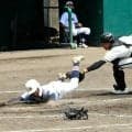 シード楊志館・杵築敗退　大分舞鶴3回戦へ　12、13日の大分大会