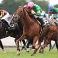 【小倉記念展望】タガノアビーが好データを味方に重賞初制覇を狙う