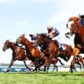【仏ジャンプラ賞】ザシークレットアドヴァーサリーがG1初制覇…スミヨン連覇「6ハロンならさらに良くなる」