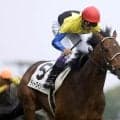 金子真人オーナーがセレクトセールで落札した名馬たち
