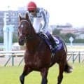 【セレクトセール２０２６】ドウデュース初年度産駒が登場！９６００万円で落札された牡馬は友道厩舎へ　「似ている」　