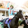 【セレクトセール２０２６】当歳でもダノックスが超高額馬ゲット！　イクイノックス産駒の牡馬を３億１０００万円で落札