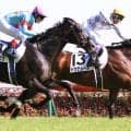 【セレクトセール２０２６】ドウデュース産駒の牡馬が初の億超え２・５億円　吉田哲哉氏もびっくり「全くの想定外」