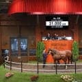 【セレクトセール2026】豪G1馬のイクイノックス産駒が3億1000万円…ダノックスが高額落札