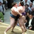 【３日目の見所】安青錦　復調気配で低い攻めで３連勝を狙う、霧島　充実の相撲内容、大の里は前進が初白星へのカギ　