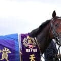 【セレクトセール2026】ドウデュース初年度産駒をインゼルが落札…母は仏G2馬で5400万円