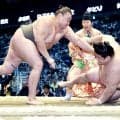 幕下・延原が連敗　「動き自体は悪くない。勝ち負け関係なく思い切りいって、前に出たい」