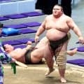【大相撲】東海大柔道部出身・岡田が連勝発進　大学後輩でラグビー部出身・原口の角界入りを歓迎「一緒に頑張りたい。抜かれないように」