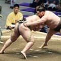 旭富士が序ノ口デビューから23連勝、歴代単独４位　１位まであと「４」