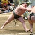 【大相撲】横綱のしこ名を継ぐ旭富士、歴代単独４位の序ノ口デビューから２３連勝