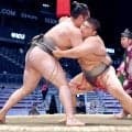 昨年の高校横綱・沢田が初黒星「師匠に顔向けできない」