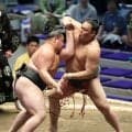 東幕下筆頭の丹治が豪刃雄を圧倒、連勝発進「自分の形を信じて」師匠の助言胸に白星重ねる