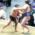４１歳の鉄人・玉鷲、通算出場回数で寺尾超えの単独４位　黒星先行に「もっといい成績だったら…」