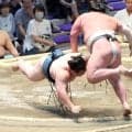 猛暑の名古屋で十両・白熊が３連勝　能生中の先輩・日翔志を押し出し「もう一丁かと思った」