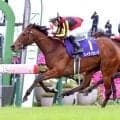 ２３年のエリザベス女王杯覇者ブレイディヴェーグがエピファネイアとの子を受胎