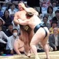大関復帰を目指す安青錦が初日から３連勝　過去５勝０敗の伯乃富士に勝利　土俵下では足もとを気にするそぶりも
