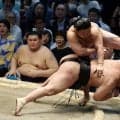 21歳藤ノ川が豊昇龍撃破で２日連続金星　横綱初挑戦から４連勝は戦後初の快挙も「知らなかった」