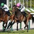 【小倉記念予想オッズ】ジョバンニが予想1番人気