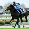 【函館2歳S予想オッズ】シグレが予想1番人気