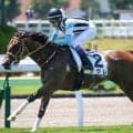 【函館2歳S】武豊騎手が29年ぶり2勝目へ 圧巻デビューVのシグレで挑む