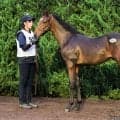【セレクトセール2026】今年最後の上場馬は1億6000万円…阪神JF2着馬の半弟を田畑利彦氏が落札
