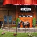 【セレクトセール2026】キタサンブラック×仏重賞馬に2億円…里見治氏が良血牡馬を落札