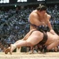 藤ノ川が戦後初の快挙！初挑戦から横綱４連倒　２日連続の金星で懸賞１００本、計６００万円ゲット