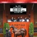 【セレクトセール２０２６】母デアリングタクト×父イクイノックス“９冠息子”に会場がヒートアップ