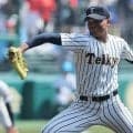 15日に秋都大会Ｖ・帝京が登場！打線好調な相手に投手陣が踏ん張れるか！東東京大会【26年夏高校野球】
