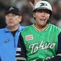 「狙って本塁打を打てるタイプではない」ヤクルト・赤羽由紘が語った自覚　忘れぬ向上心「いろんなことにチャレンジしながら…」