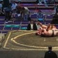 大相撲で“肉を切らせて骨を断つ”大技炸裂 巨漢を投げ切るも「投げた方がダメージ」「勝ったけど痛めた」驚嘆と心配の声