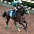 【小倉記念】ジョバンニは”序盤に”位置が取れて小回りＯＫ　陣営「タイトルがほしいです」坂路でしっかり折り合う