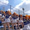 【高校野球】駒沢と法政、チアで華やかな名門対決　熱い声援で盛り上げ…試合の勝者は？／西東京