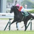 小倉記念の歴代最速タイムは TOP5を振り返る