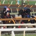 ミラージュナイト、札幌日経賞1週前追い切り速報/栗東トレセンニュース